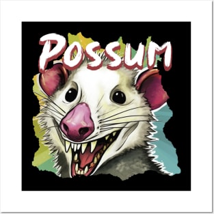 Possum Posters and Art